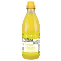 ISB Fruit of the Grommer Ginger&Elderbery Шампунь для любого типа шерсти против раздражений и перхоти