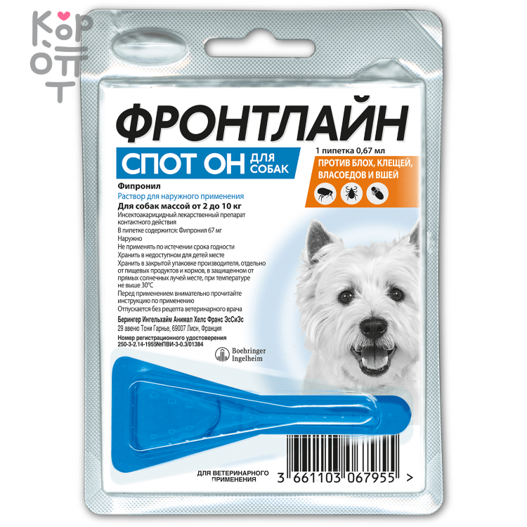 Особенности использования фронтлайн для кошек