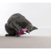 Petstages игрушка для кошек Dental 'Креветки' 2 шт. с кошачьей мятой, 7 см