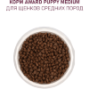 AWARD Сухой корм для щенков от 1 мес., беременных и кормящих сук средних пород с Индейкой и Курицей с добавлением Моркови и Черной Смородины., купить с доставкой на дом фото 10 — Корейские товары для всей семьи(КорОпт)