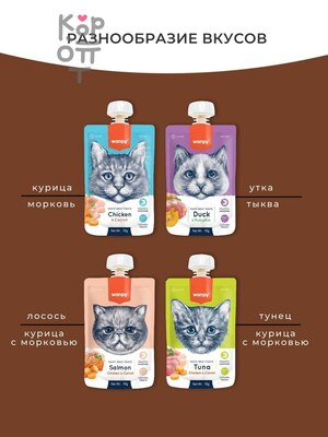 Wanpy Cat Лакомство для кошек Мясной мусс из лосося и курицы с морковью 90гр.