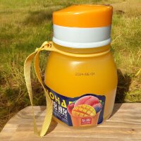 Сокосодержащий напиток Lebin со вкусом ледяного Манго, 600мл.