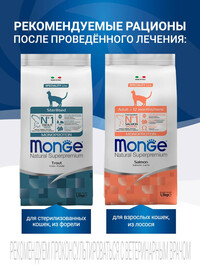 Диетический корм Monge VetSolution Cat Dermatosis Дерматозис для кошек при заболеваниях кожи