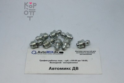 Масленка прямая 1 / 8" BSP 9.5 мм ST18BSP95
