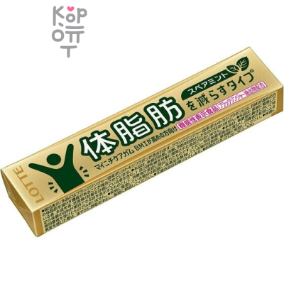LOTTE Chewing Gum - Жевательная резинка Фитнес Майничи 21 г