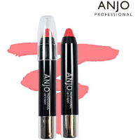 ANJO  Lip Crayon - Помада карандаш для губ 3гр.