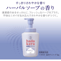 LION Hadakara Medicated Deodorant Body Soap Foam - Увлажняющая пенка для тела с ароматом травяного мыла