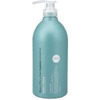 Kumano Salon Link Amino Acid Shampoo - Профессиональный увлажняющий шампунь с аминокислотами 1л.