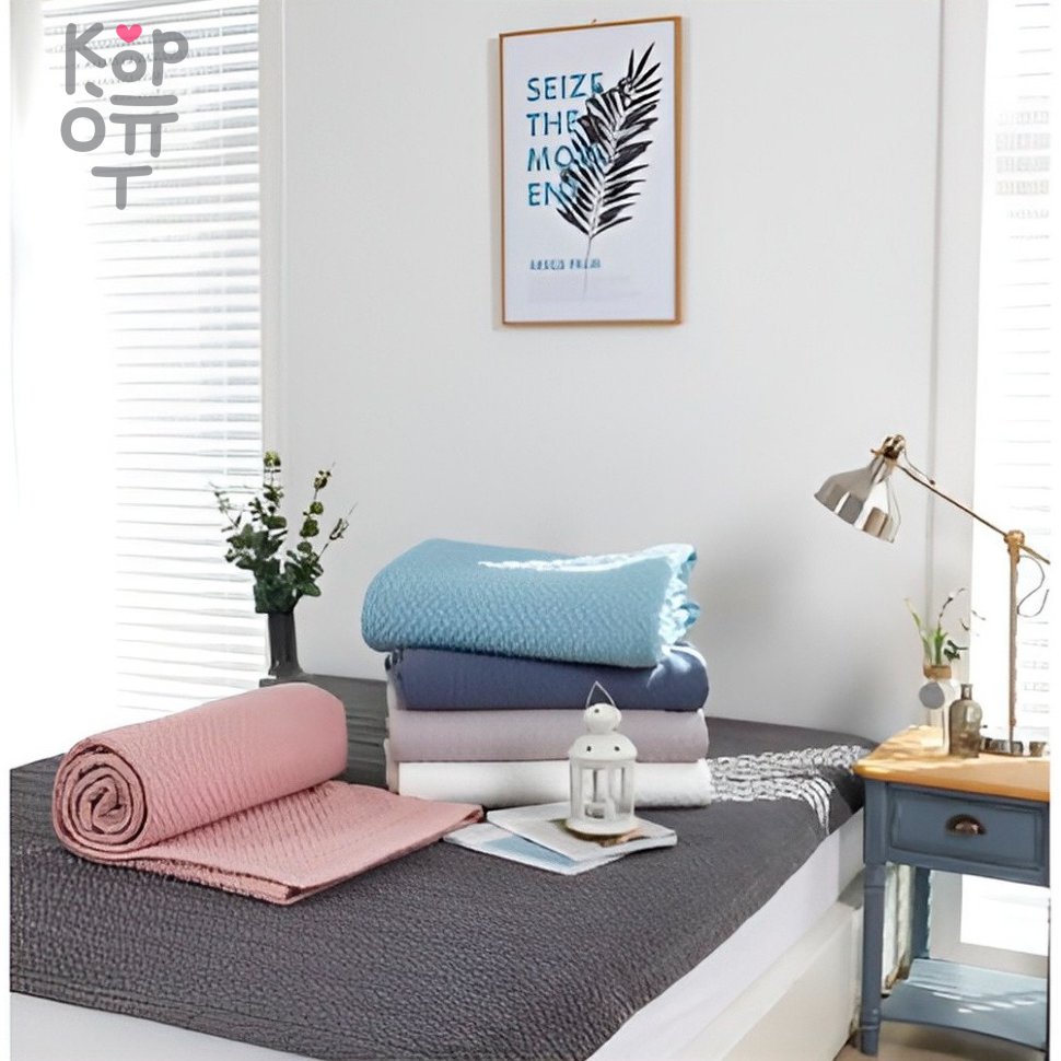 Одеяло демисезонное DUET (вареный хлопок), 4012, купить с доставкой на дом фото 1 — Корейские товары для всей семьи(КорОпт)