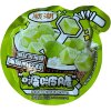 Кокосовый напиток Youweike с кусочками и вкусом зеленой сливы, 70гр., купить с доставкой на дом фото 2 &mdash; Корейские товары для всей семьи(КорОпт)