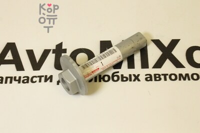 Эксцентрик 48409-34041, 48409-34040 TUNDRA для TOYOTA