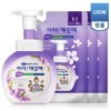 CJ LION Ai - Kekute Clean Antibacterial Foam - Жидкая Антибактериальная пена для рук с Ароматом фиалки, купить с доставкой на дом фото 1 — Корейские товары для всей семьи(КорОпт)