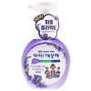 CJ LION Ai - Kekute Clean Antibacterial Foam - Жидкая Антибактериальная пена для рук с Ароматом фиалки, купить с доставкой на дом фото 2 — Корейские товары для всей семьи(КорОпт)