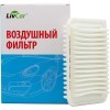 LIVCAR Air+Cabin Filters TOYOTA - Набор из воздушного и салонного фильтров для TOYOTA, купить с доставкой на дом фото 3 — Корейские товары для всей семьи(КорОпт)