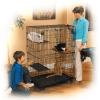 MidWest Cat Playpens - Двухэтажная клетка для кошек, 91х60х128h см., купить с доставкой на дом фото 2 — Корейские товары для всей семьи(КорОпт)