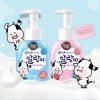 Kerasys Shower Mate Bubble Hand Wash - Антибактериальная пенка для мытья рук., купить с доставкой на дом фото 1 — Корейские товары для всей семьи(КорОпт)